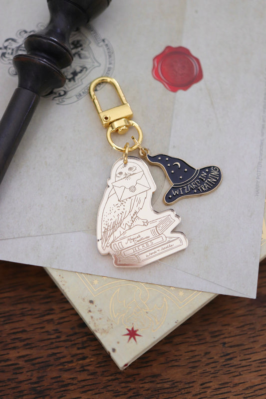 WIZARD BAG CHARMS/ KEYCHAINS SET